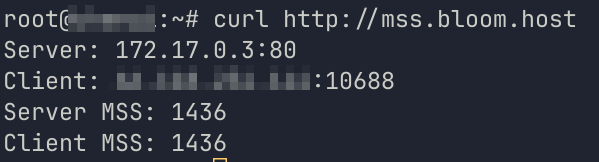 curl showing the MSS