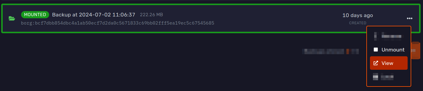 Backup mounted with view button highlighted