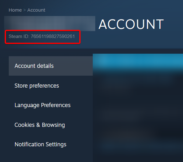 Steam showing profile details